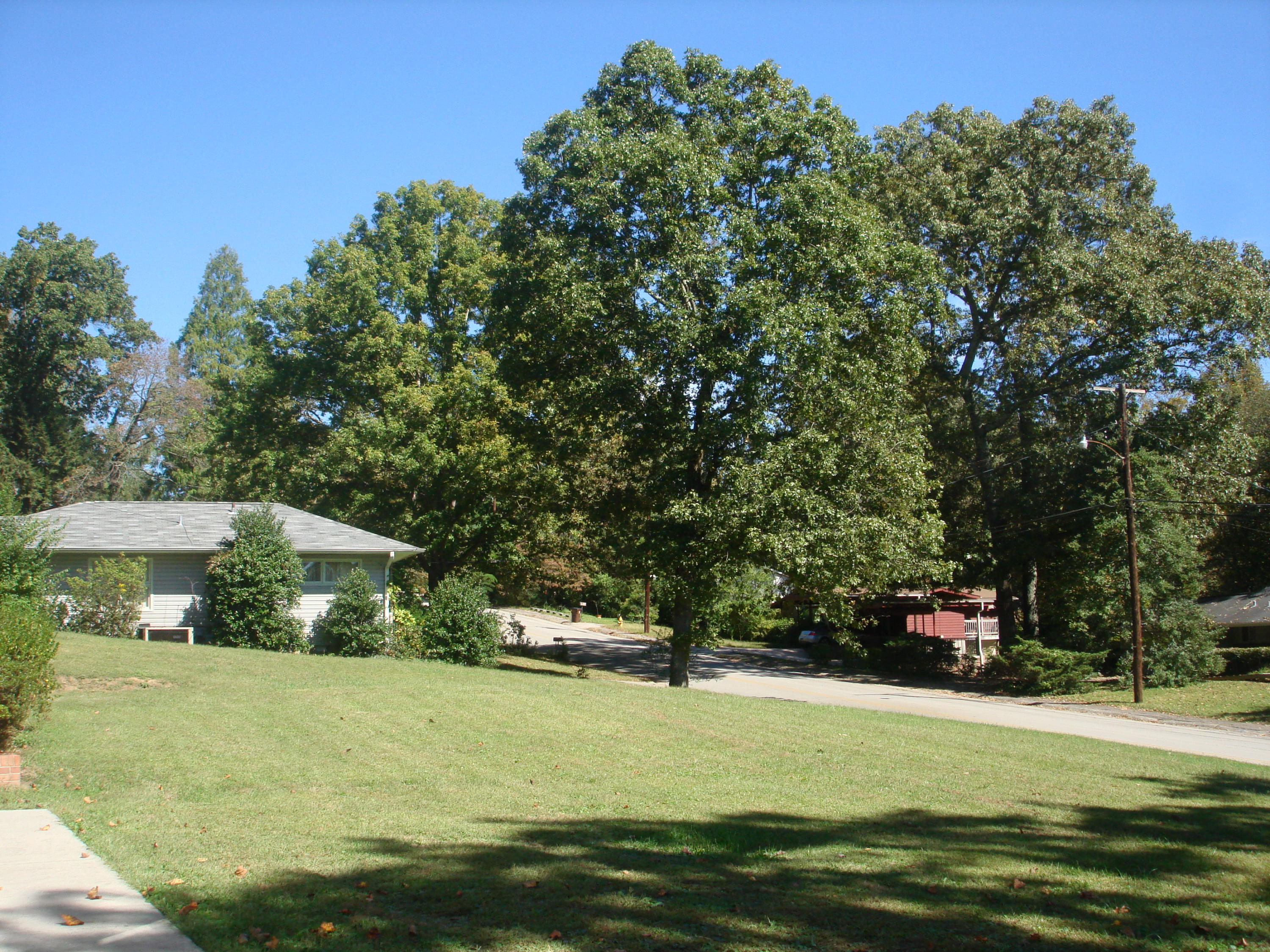 225 Iroquois Road Oak Ridge, TN 37830 - Photo 38 of 40 GREAT FRONT YARD