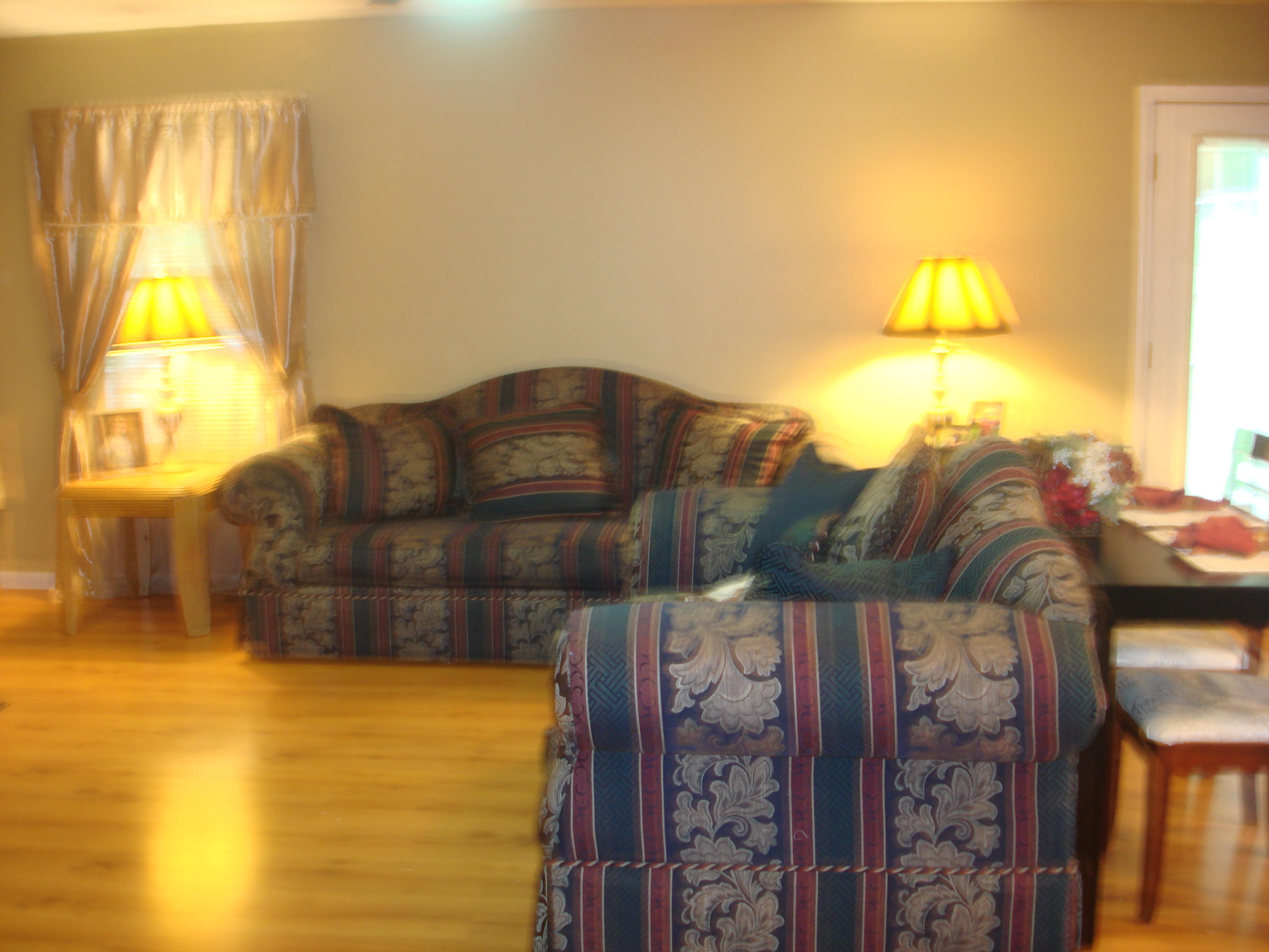 225 Iroquois Road Oak Ridge, TN 37830 - Photo 7 of 40 LARGE LIVING ROOM