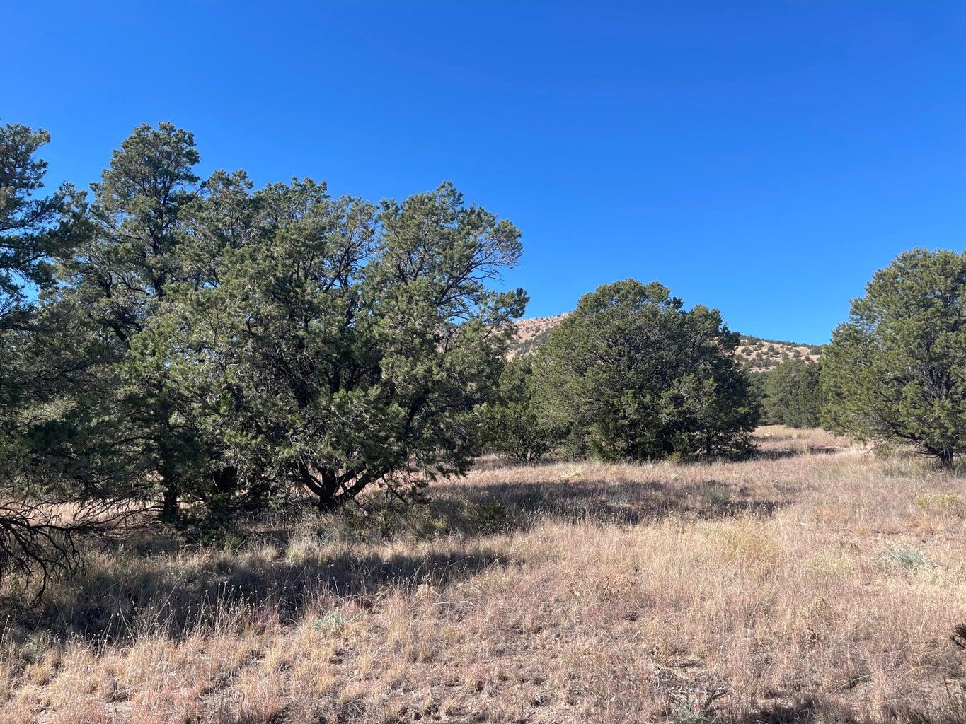 111 Homestead Trail Datil, NM 87821 - Photo 32 of 37 Gallery Image 32
