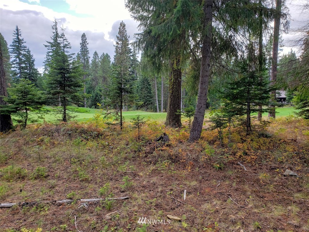 240 Rocking Chair Road Cle Elum, WA 98922 - Photo 1 of 9 Gallery Image 1
