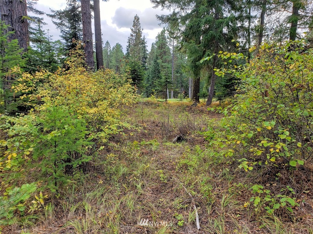 240 Rocking Chair Road Cle Elum, WA 98922 - Photo 4 of 9 Gallery Image 4