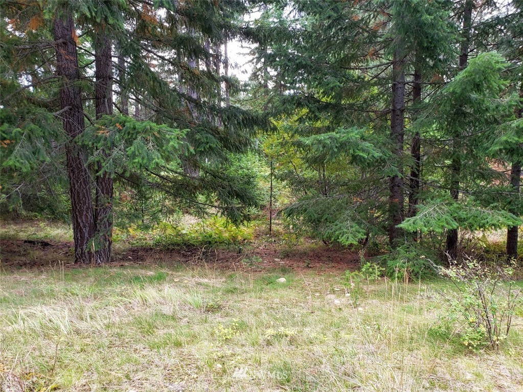 240 Rocking Chair Road Cle Elum, WA 98922 - Photo 5 of 9 Gallery Image 5