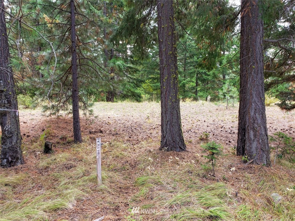 240 Rocking Chair Road Cle Elum, WA 98922 - Photo 6 of 9 Gallery Image 6