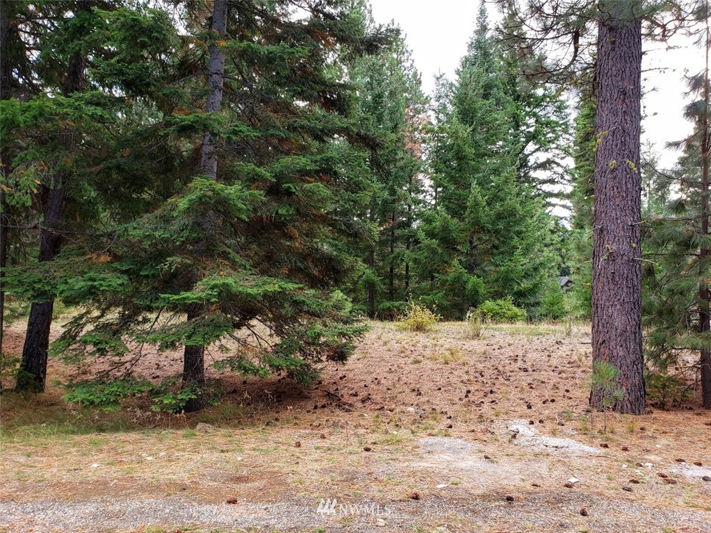 240 Rocking Chair Road Cle Elum, WA 98922 - Photo 7 of 9 Gallery Image 7