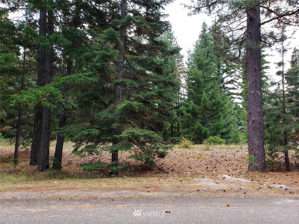 240 Rocking Chair Road Cle Elum, WA 98922 - Photo 8 of 9 Gallery Image 8