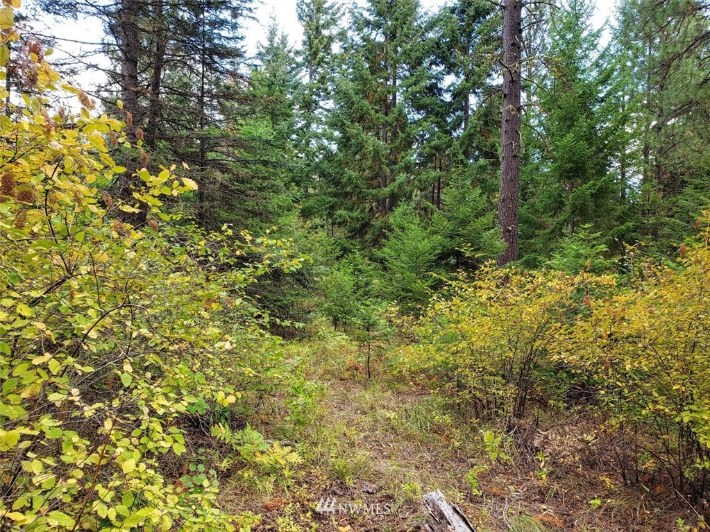 240 Rocking Chair Road Cle Elum, WA 98922 - Photo 9 of 9 Gallery Image 9