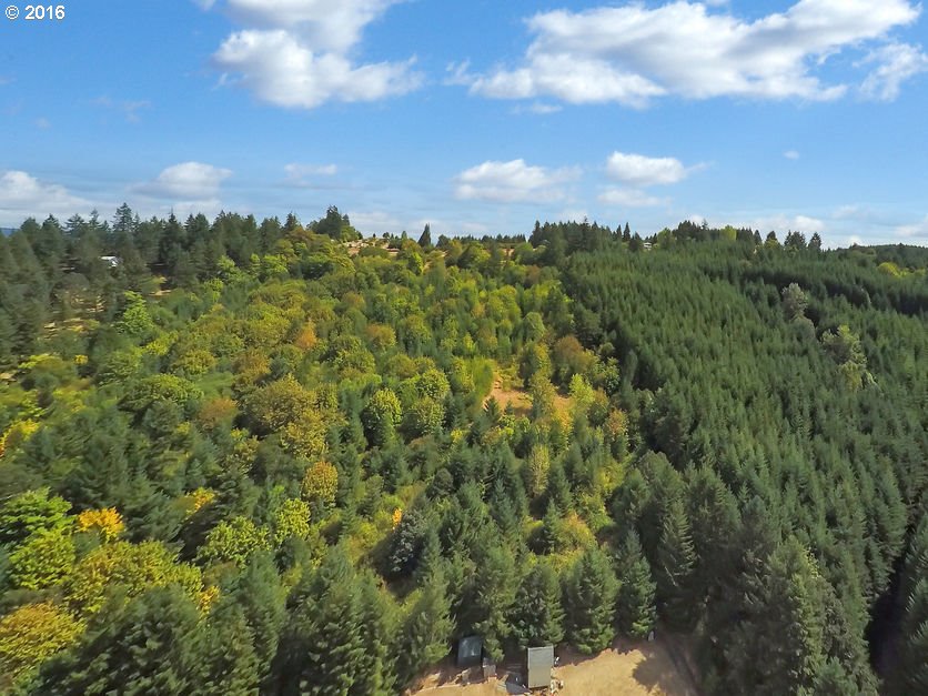 12000 Northwest Parson Road Forest Grove, OR 97116 - Photo 4 of 24 Gallery Image 4