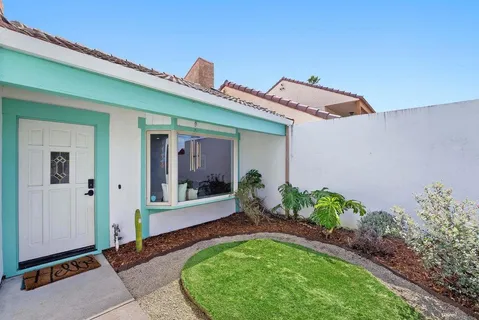 a view of a tree with a plant in front of it