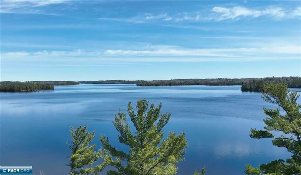 5248 Ely Island South Tower, MN 55790 - Photo 5 of 15