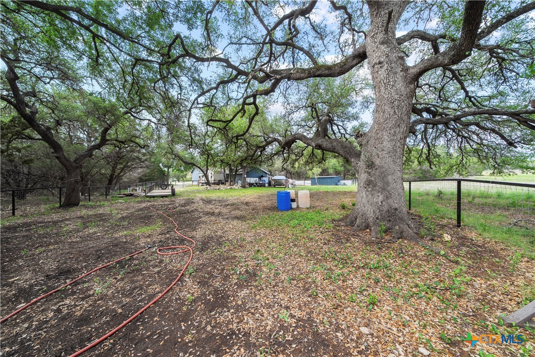 351 Line Camp Loop Spring Branch, TX 78070 - Photo 23 of 27 a tree in the middle of a yard