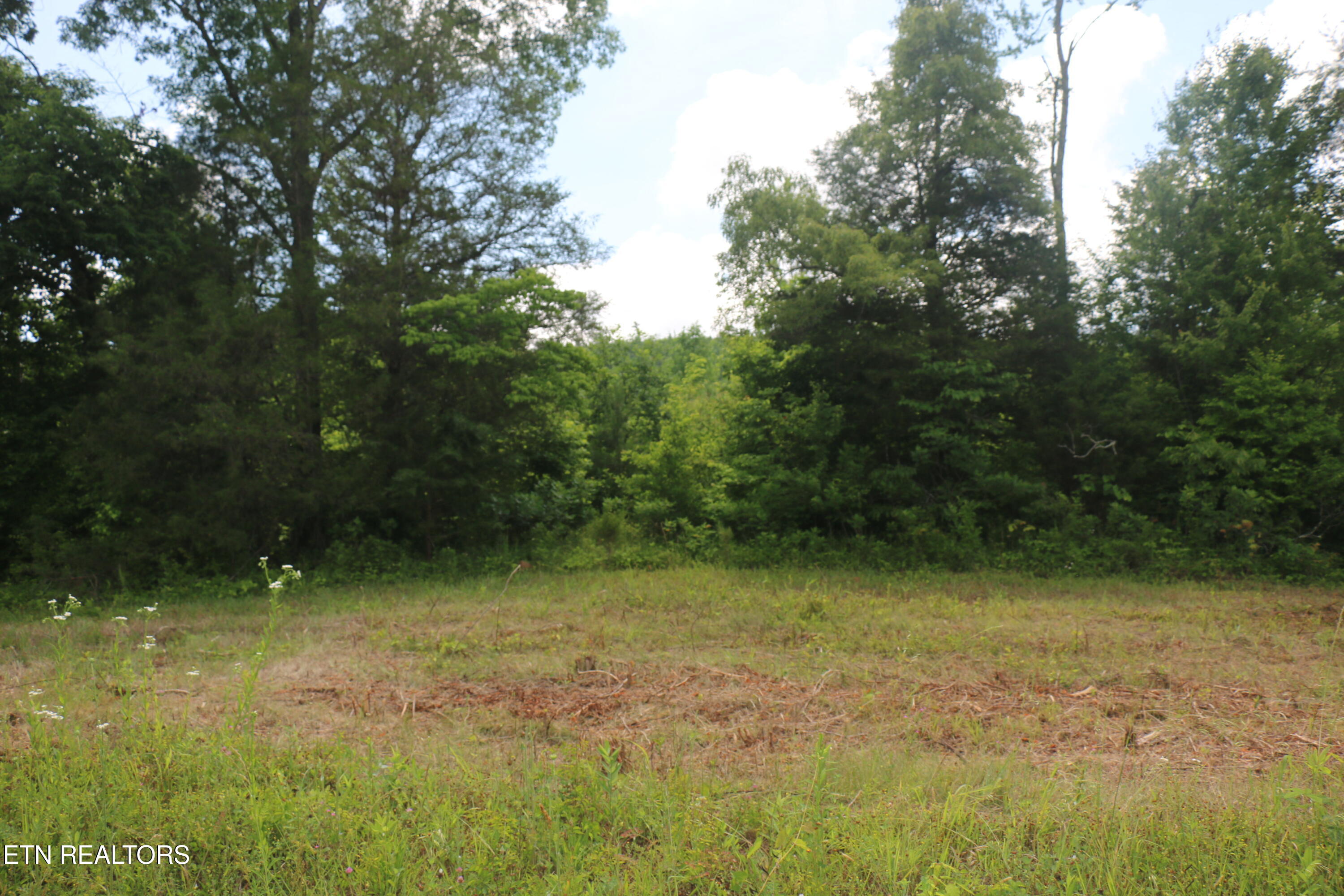 1 North Nopone Valley Road Decatur, TN 37322 - Photo 7 of 8 IMG_8463