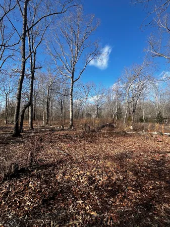 $10,000 | 0 Bull Run, Beechgrove, TN 37018