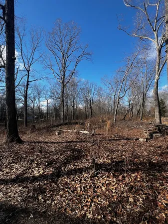 a view of backyard with green space