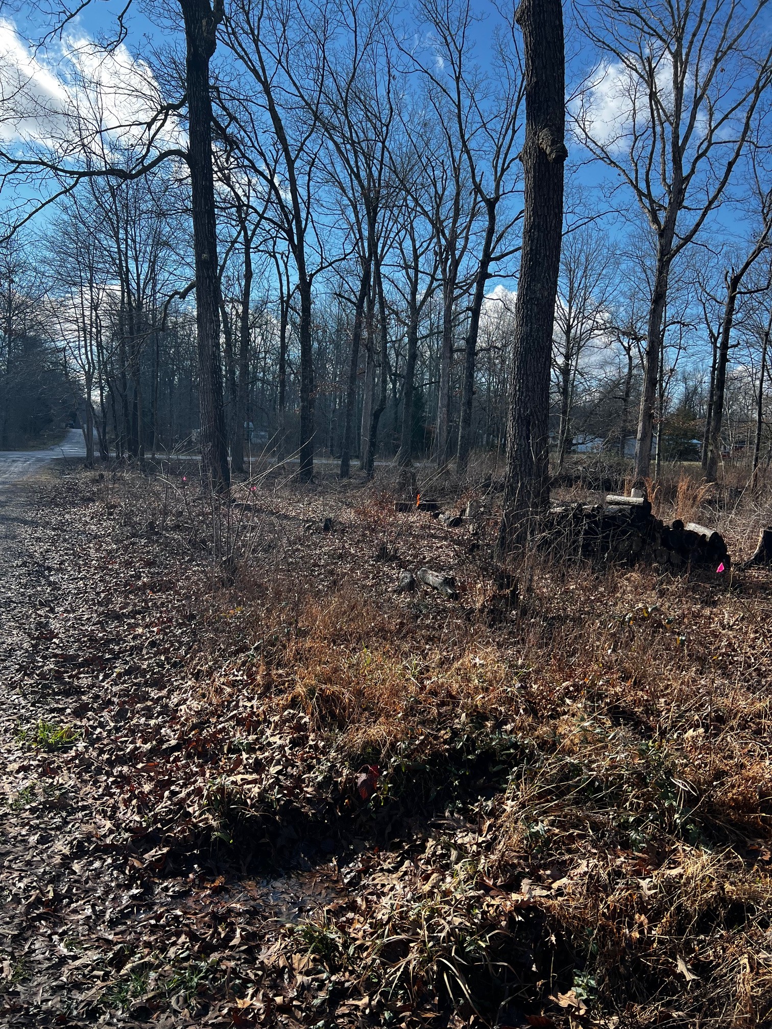 0 Bull Run Beechgrove, TN 37018 - Photo 3 of 5