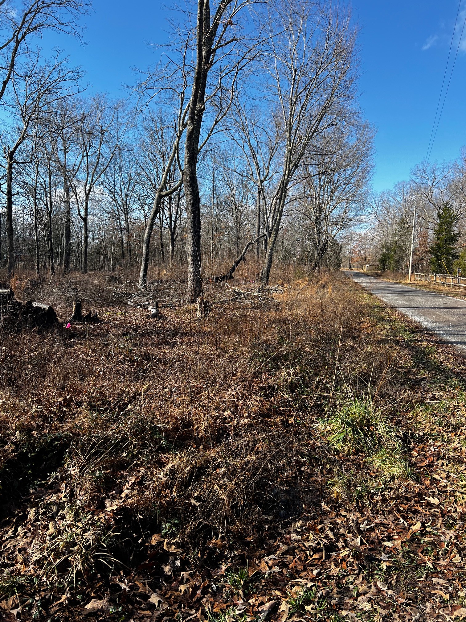 0 Bull Run Beechgrove, TN 37018 - Photo 4 of 5