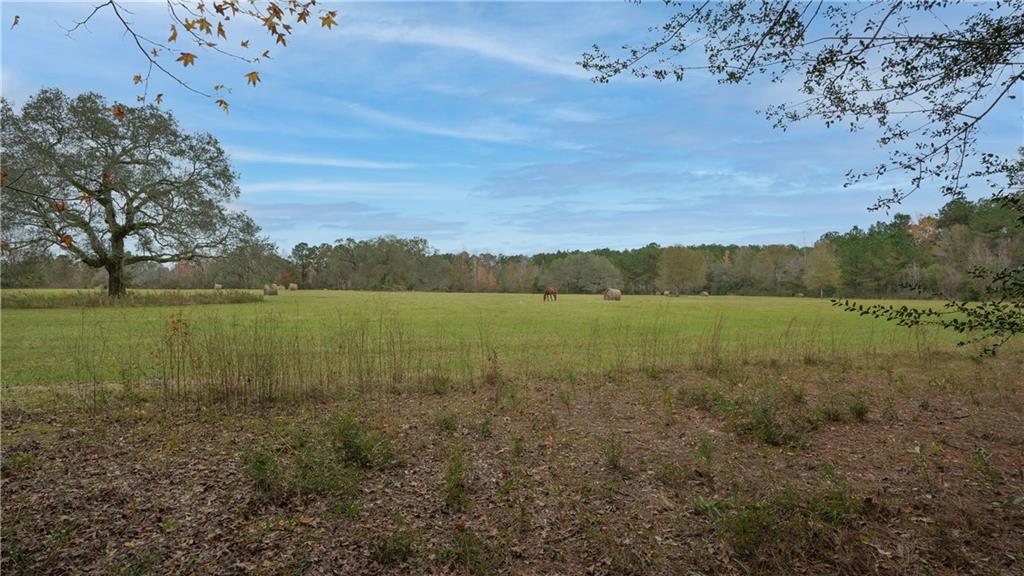 19266 Township Road Covington, LA 70435 - Photo 31 of 31 Gallery Image 31