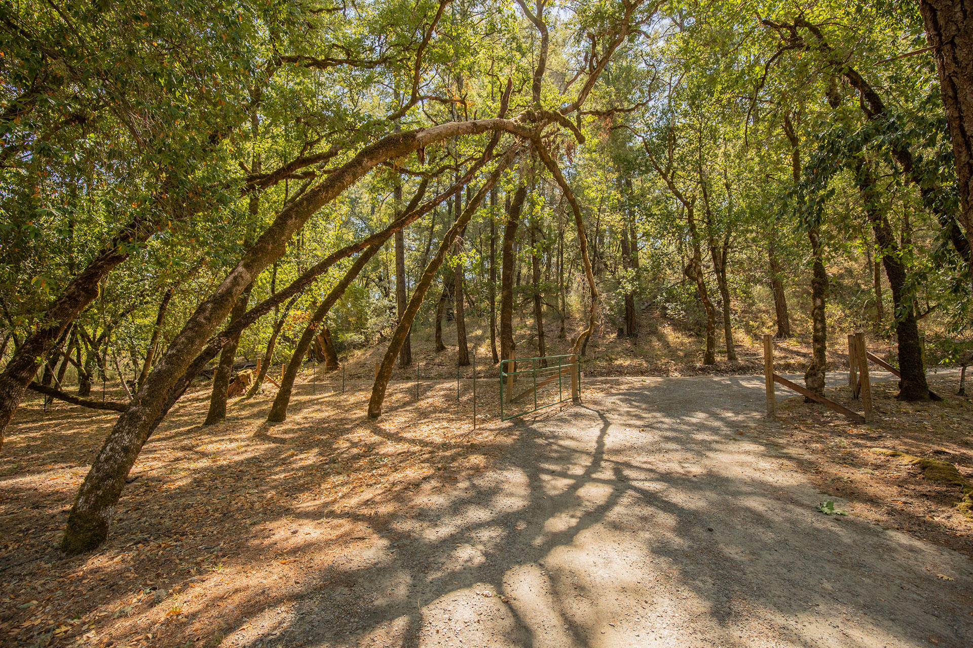 0 Bear Canyon Road Garberville, CA 95542 - Photo 24 of 107 SW__9667