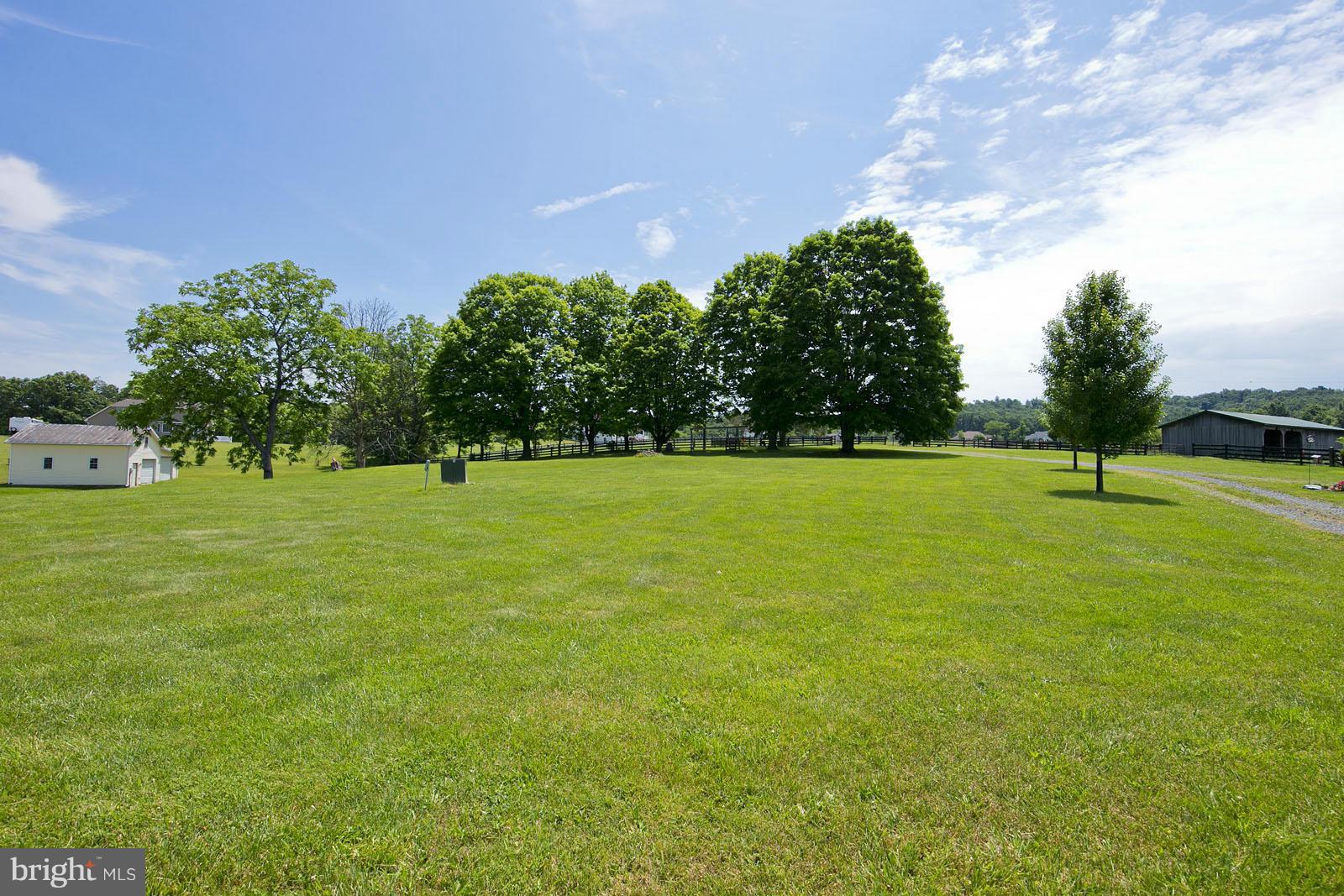 1209 Hollow Road Gore, VA 22637 - Photo 27 of 30 a view of a trees with a big yard