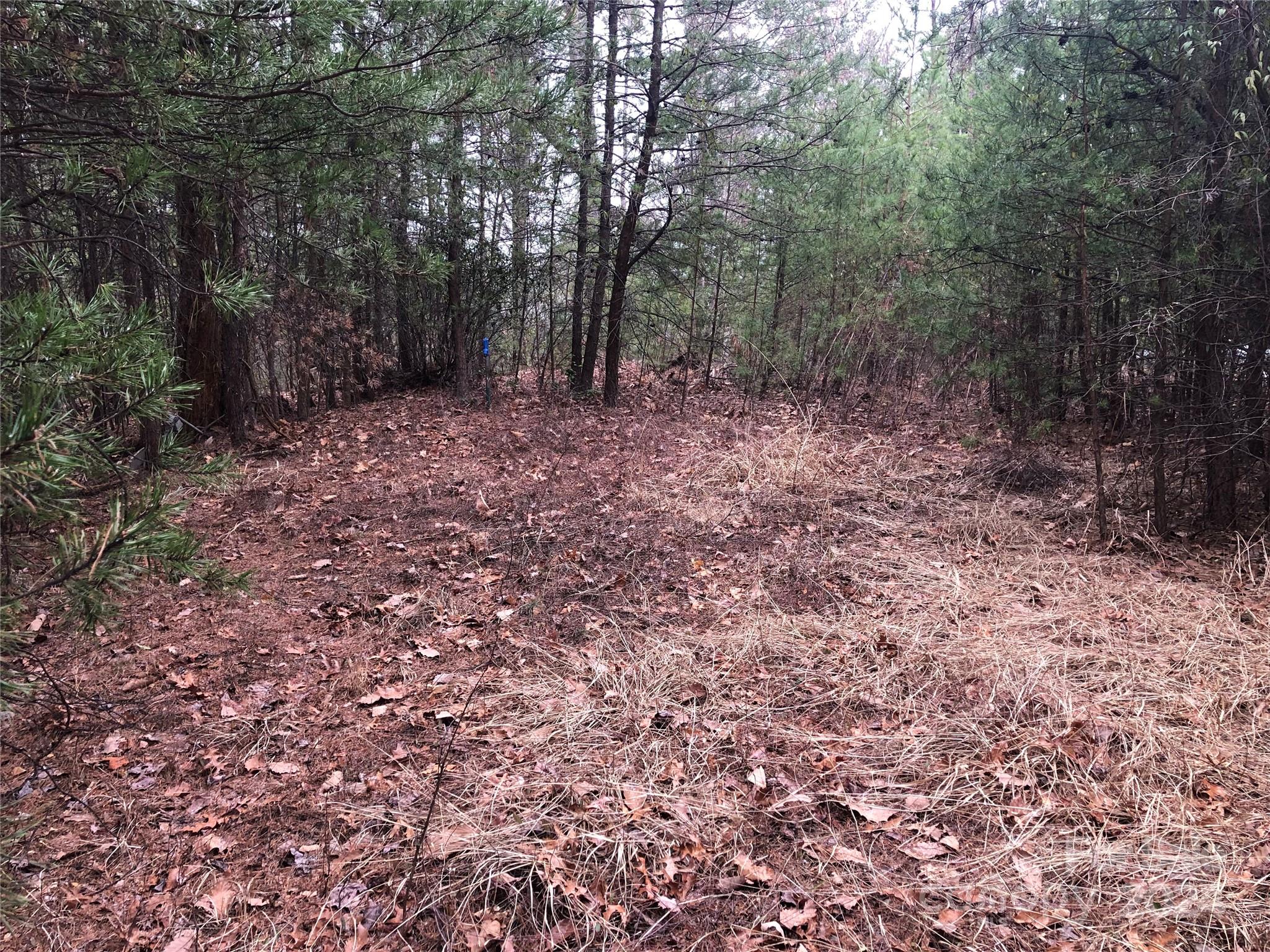 Tbd Wolf Pen Road, Unit 24 Purlear, NC 28665 - Photo 13 of 46 a view of a forest with trees in the background