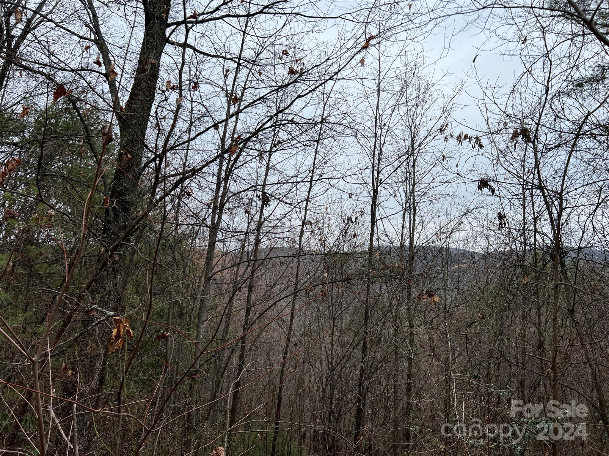 Tbd Wolf Pen Road, Unit 24 Purlear, NC 28665 - Photo 2 of 46