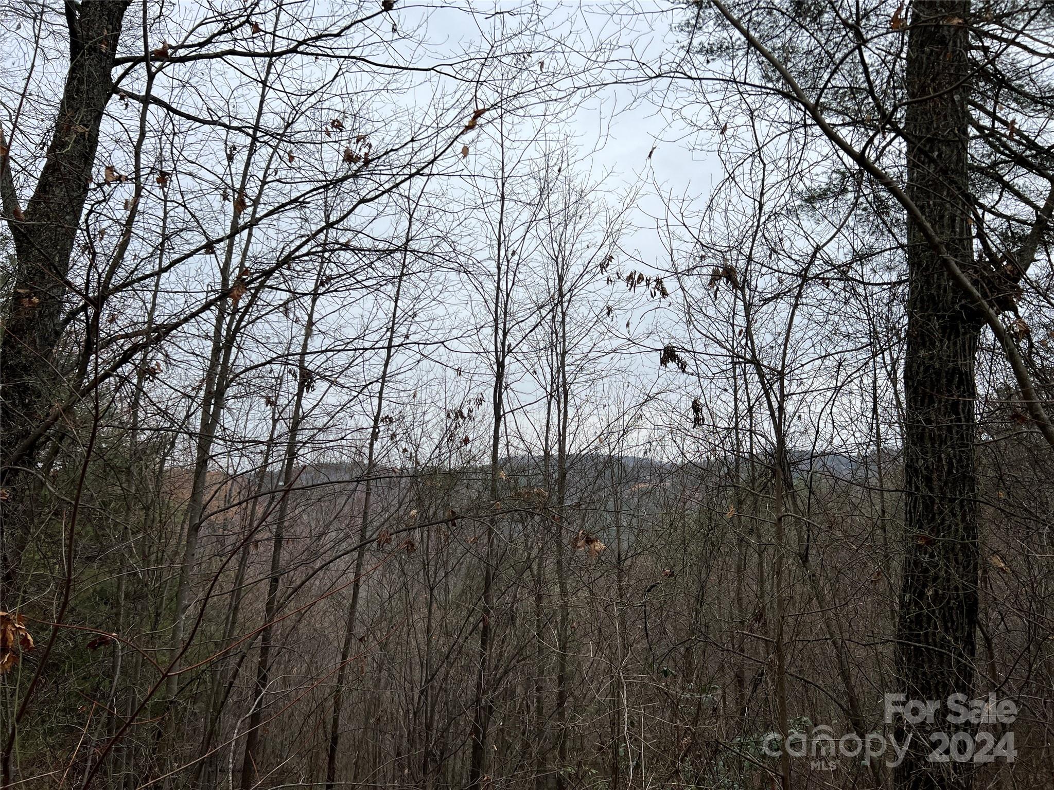 Tbd Wolf Pen Road, Unit 24 Purlear, NC 28665 - Photo 4 of 46