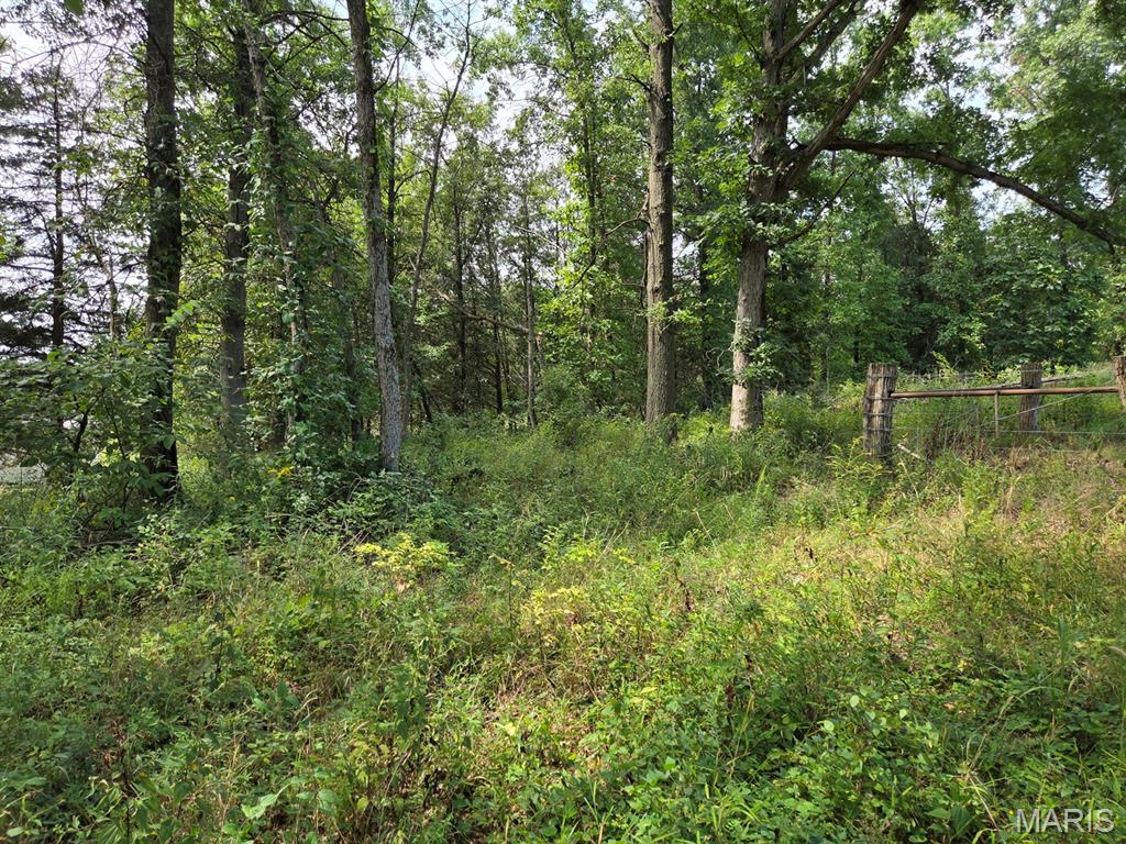 63723 Foundry Street Rutledge, MO 63563 - Photo 23 of 33 Gallery Image 23