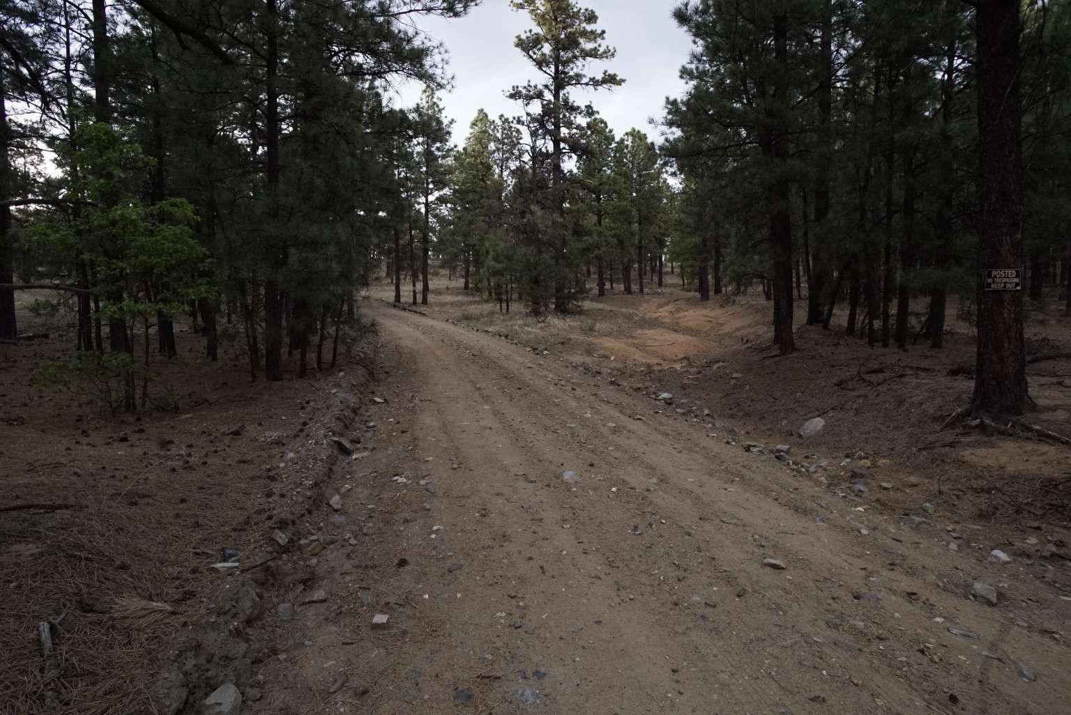 0 A015 County Road Mora, NM 87732 - Photo 27 of 40