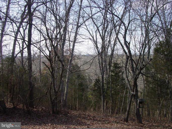 8459 Botha Road Warrenton, VA 20186 - Photo 4 of 15 Wooded View / Acreage