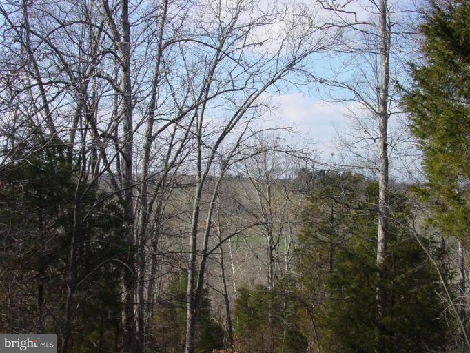 8459 Botha Road Warrenton, VA 20186 - Photo 5 of 15 Wooded View / Acreage 2
