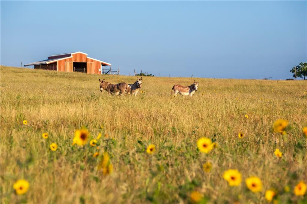 20145 Janak Road Coupland, TX 78615 - Photo 37 of 40