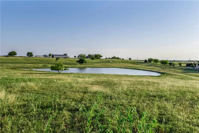 a view of a field with an ocean