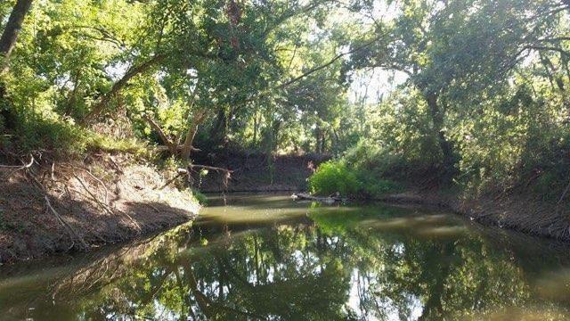 20145 Janak Road Coupland, TX 78615 - Photo 40 of 40 a view of a lake with a yard