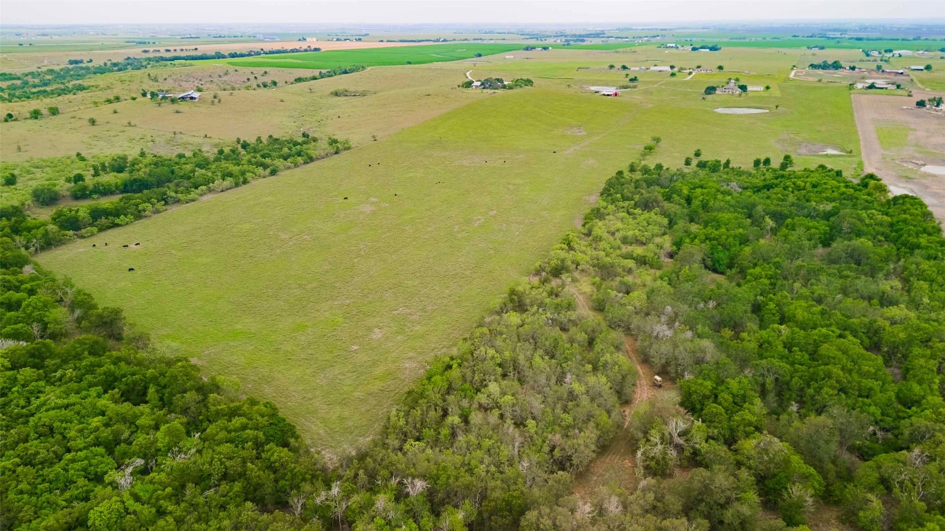 20145 Janak Road Coupland, TX 78615 - Photo 4 of 40
