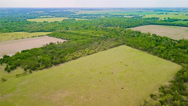 a view of a big yard with lots of green space