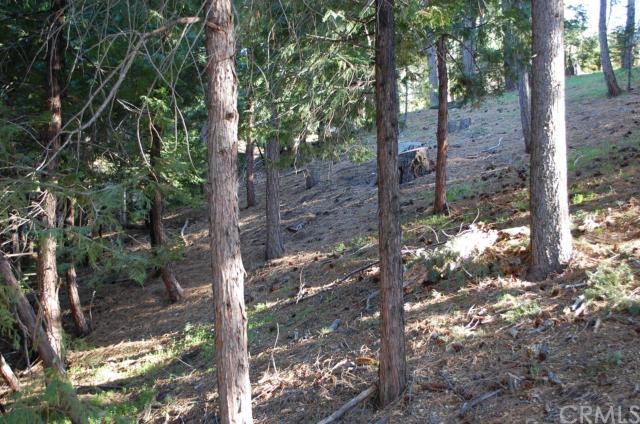0 Ranier Lake Arrowhead, CA 92352 - Photo 1 of 1 Gallery Image 1