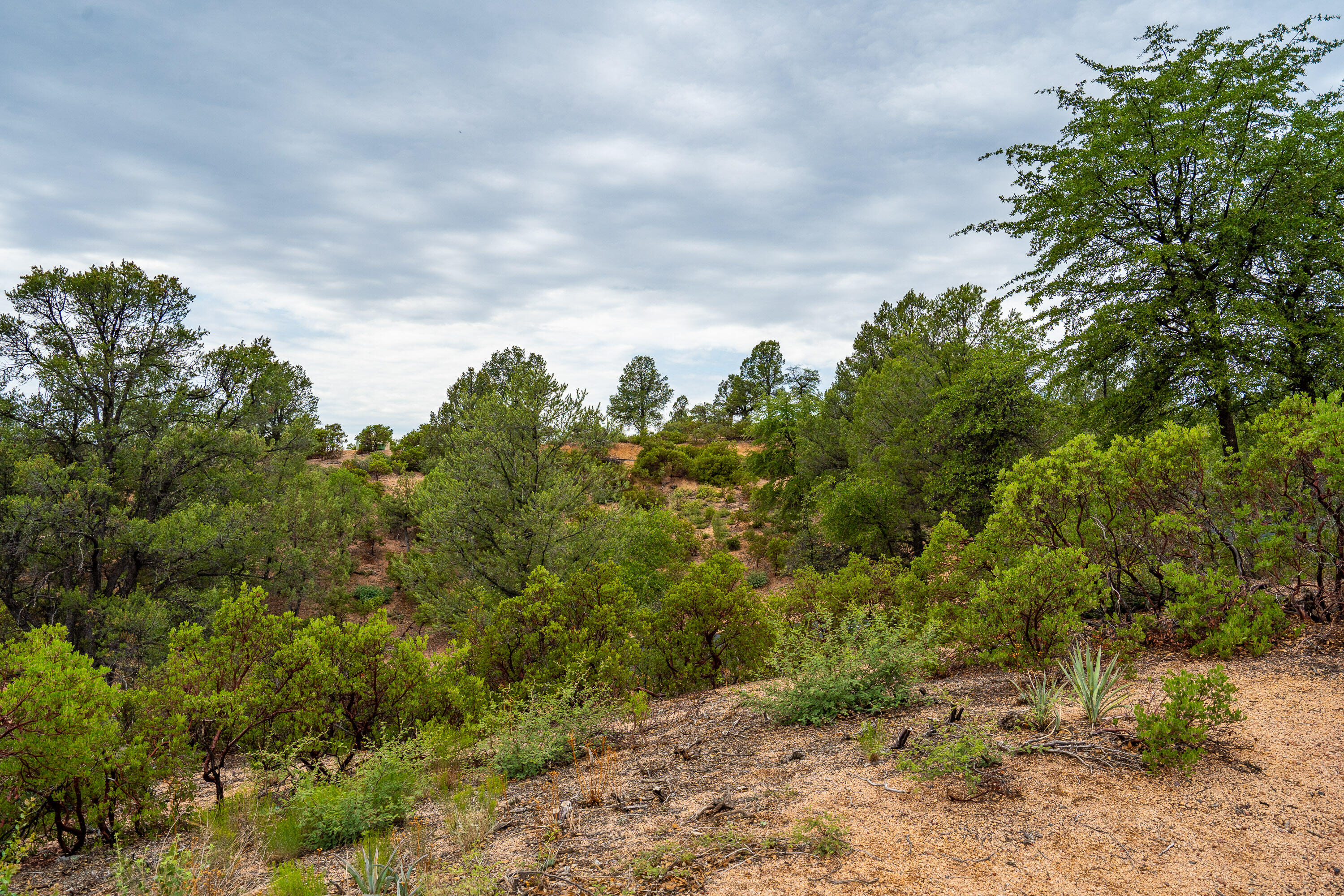 3001 East Arrow Point Payson, AZ 85541 - Photo 24 of 27 Gallery Image 24