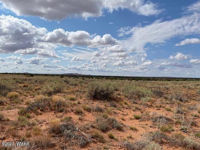 Lot 38 Snowflake Ranch Snowflake, AZ 85937 - Photo 2 of 7