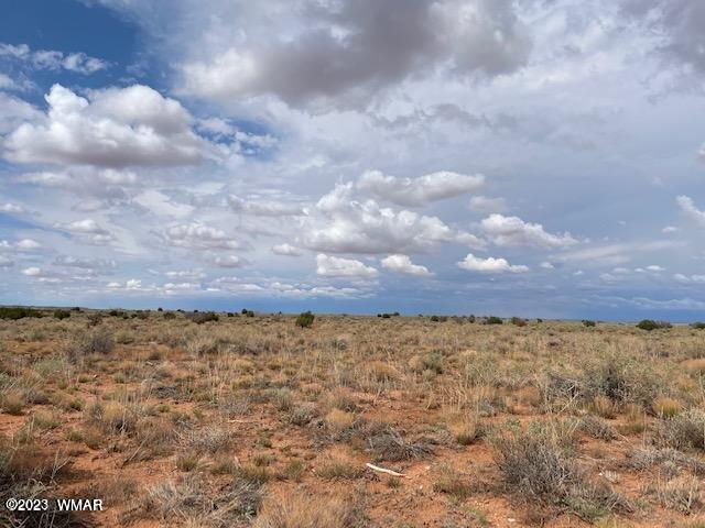 Lot 38 Snowflake Ranch Snowflake, AZ 85937 - Photo 3 of 7