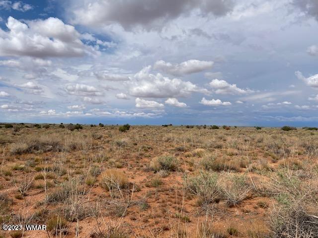 Lot 38 Snowflake Ranch Snowflake, AZ 85937 - Photo 4 of 7
