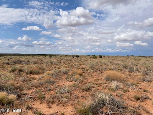 Lot 38 Snowflake Ranch Snowflake, AZ 85937 - Photo 5 of 7