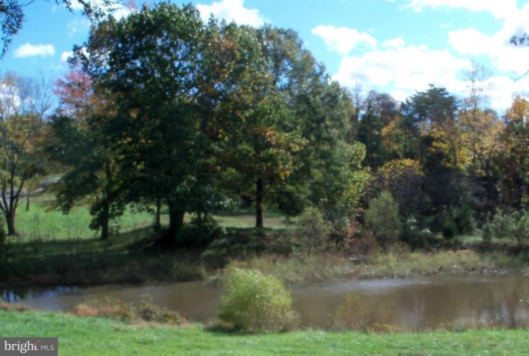 4609 Dumfries Road Catlett, VA 20119 - Photo 14 of 17 Pond