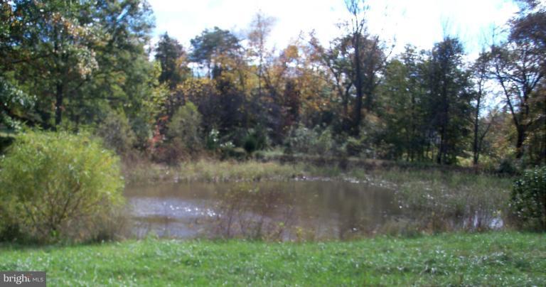 4609 Dumfries Road Catlett, VA 20119 - Photo 4 of 17 Pond