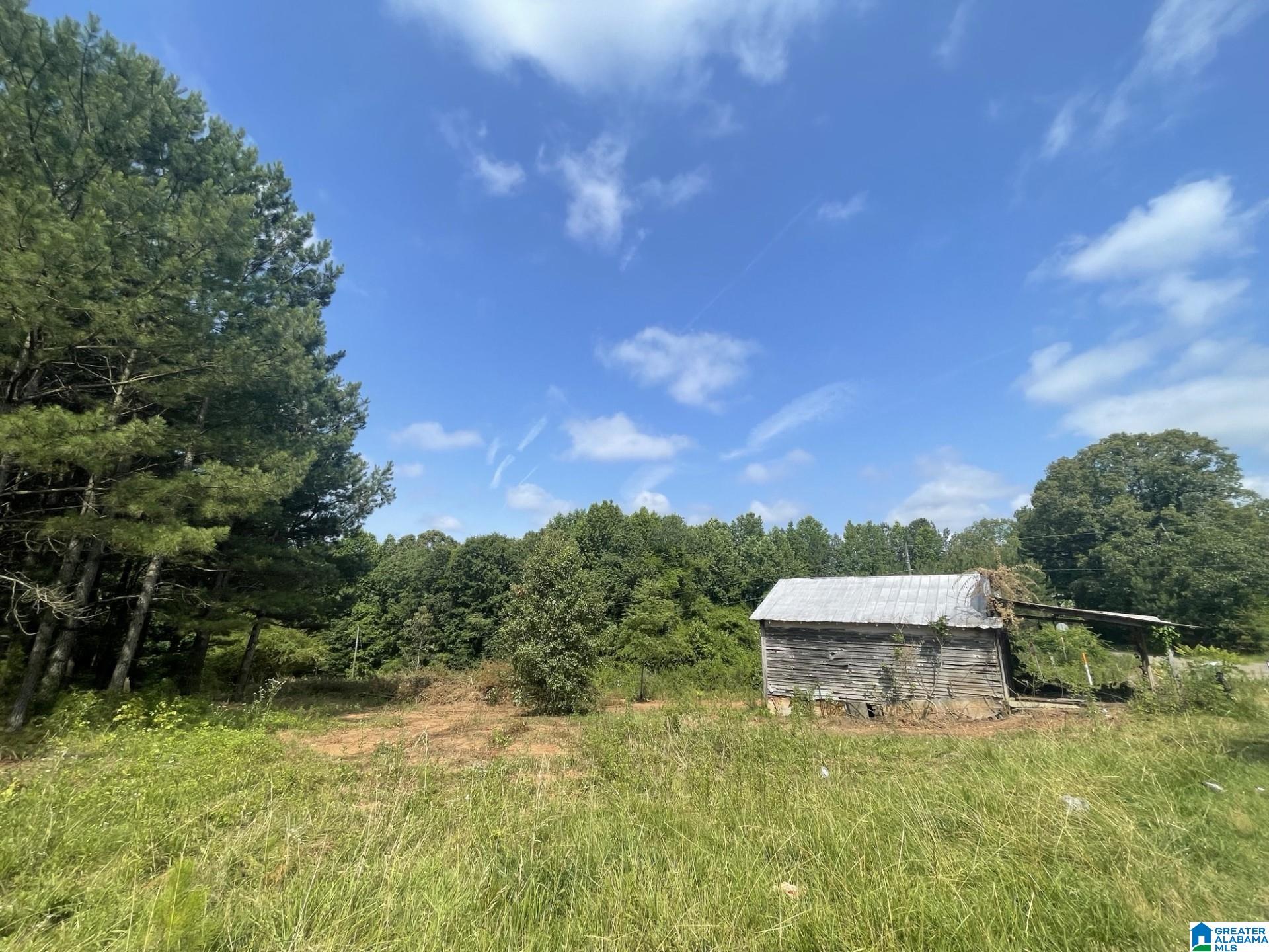 673 County Road, Unit 5 6 Woodland, AL 36280 - Photo 4 of 10