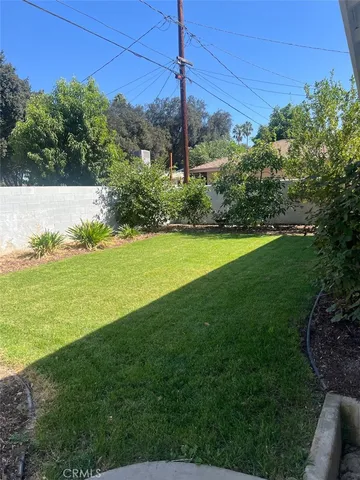a view of a field with a tree in front of it