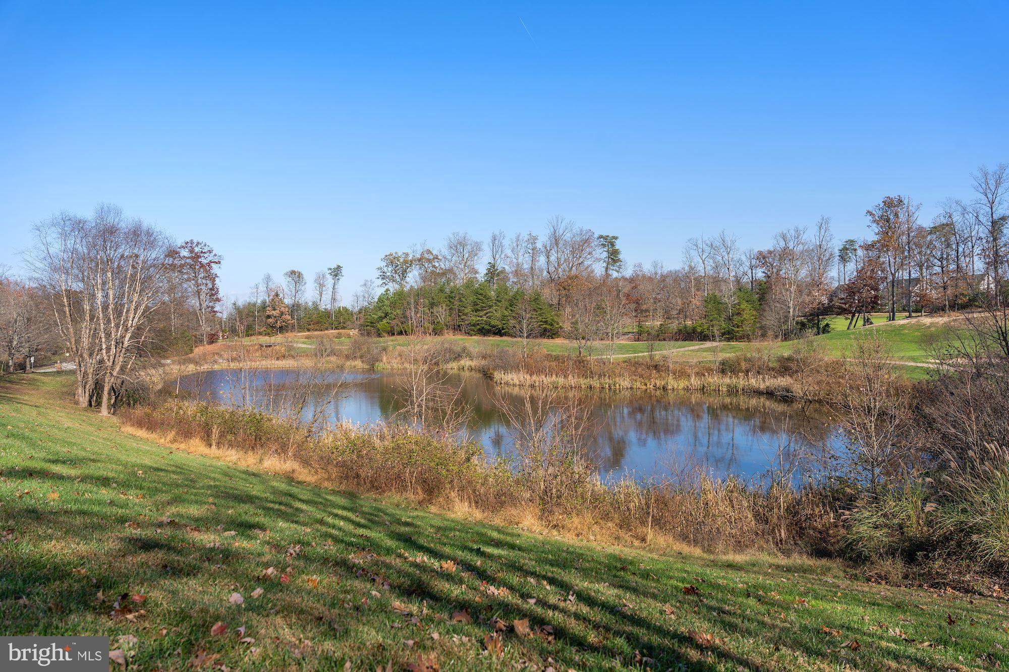 4615 Beaufont Spring Court Woodbridge, VA 22192 - Photo 3 of 51