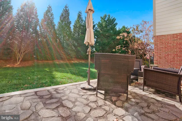 a view of a park with large trees