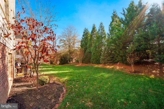 a view of a pathway of a house with a big yard and large trees