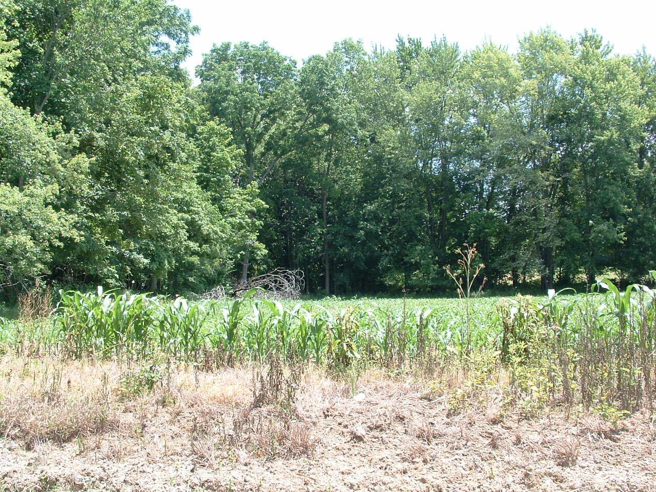 0 Clover Valley Road Northwest Johnstown, OH 43031 - Photo 7 of 16 DSCF0006