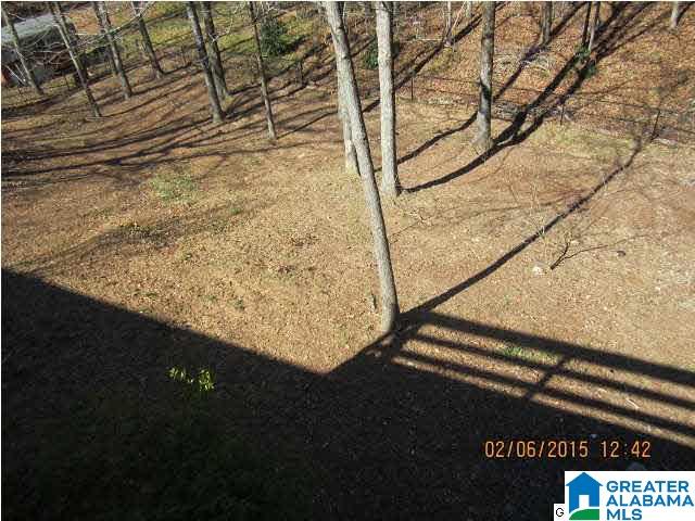 48 Huntmaster Lane Pelham, AL 35124 - Photo 19 of 20