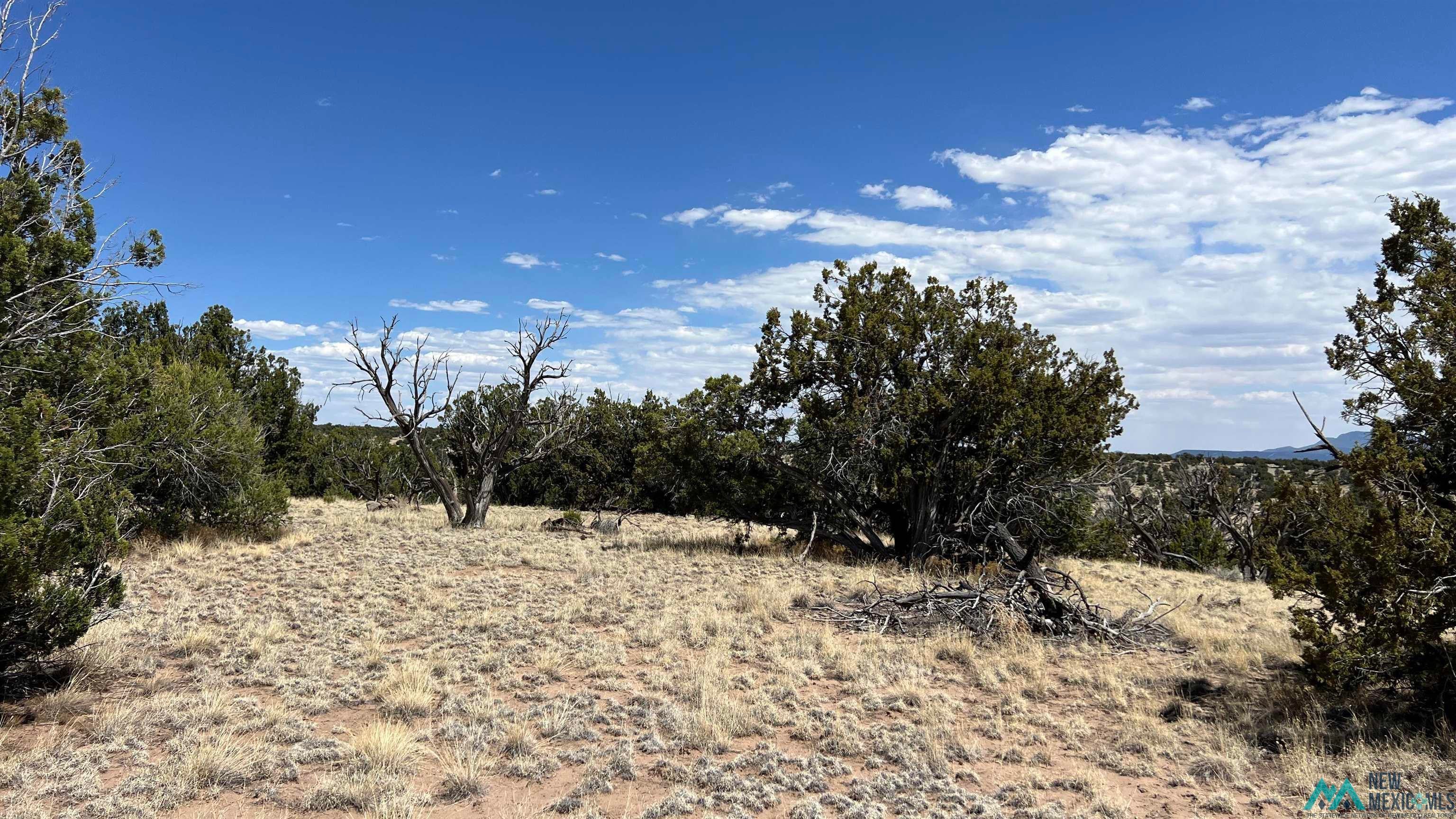 87 Warpath Road Quemado, NM 87829 - Photo 5 of 13 Gallery Image 5